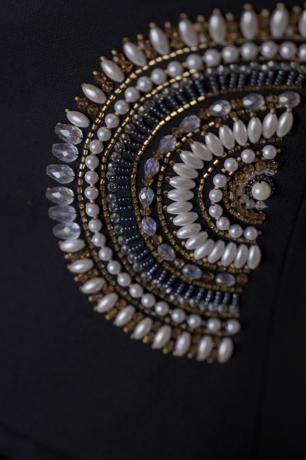 KHC0303_02791 (Custom)