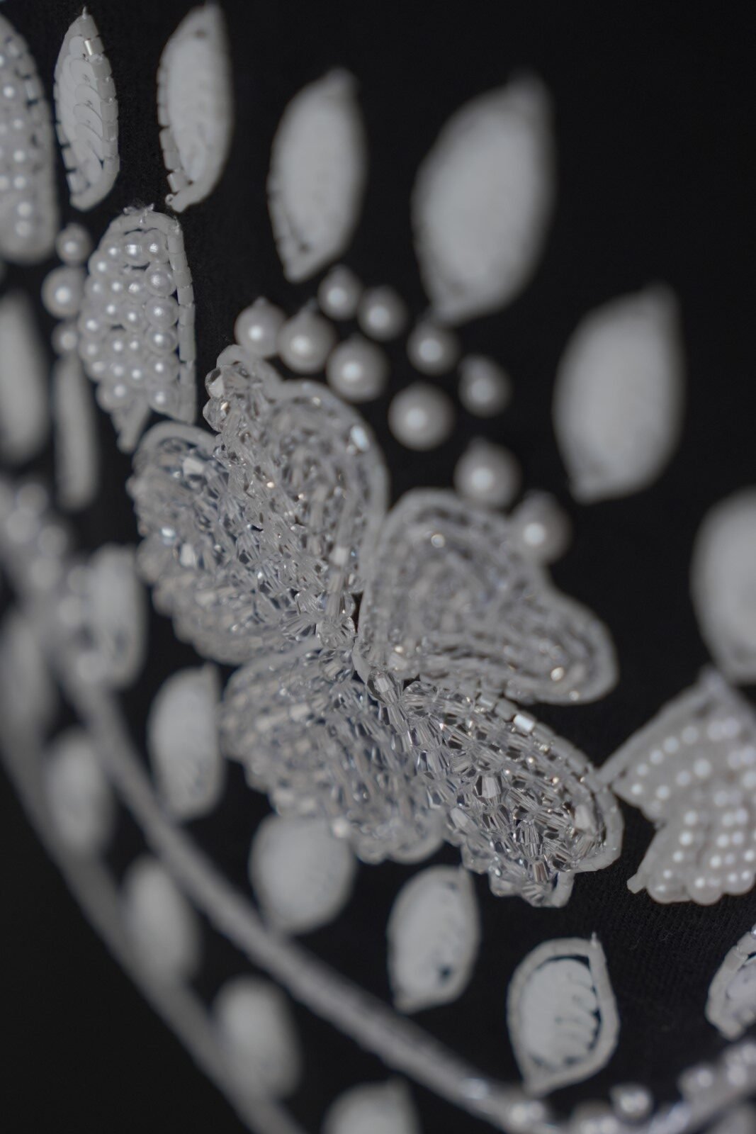 KHC0304_02831 (Custom)