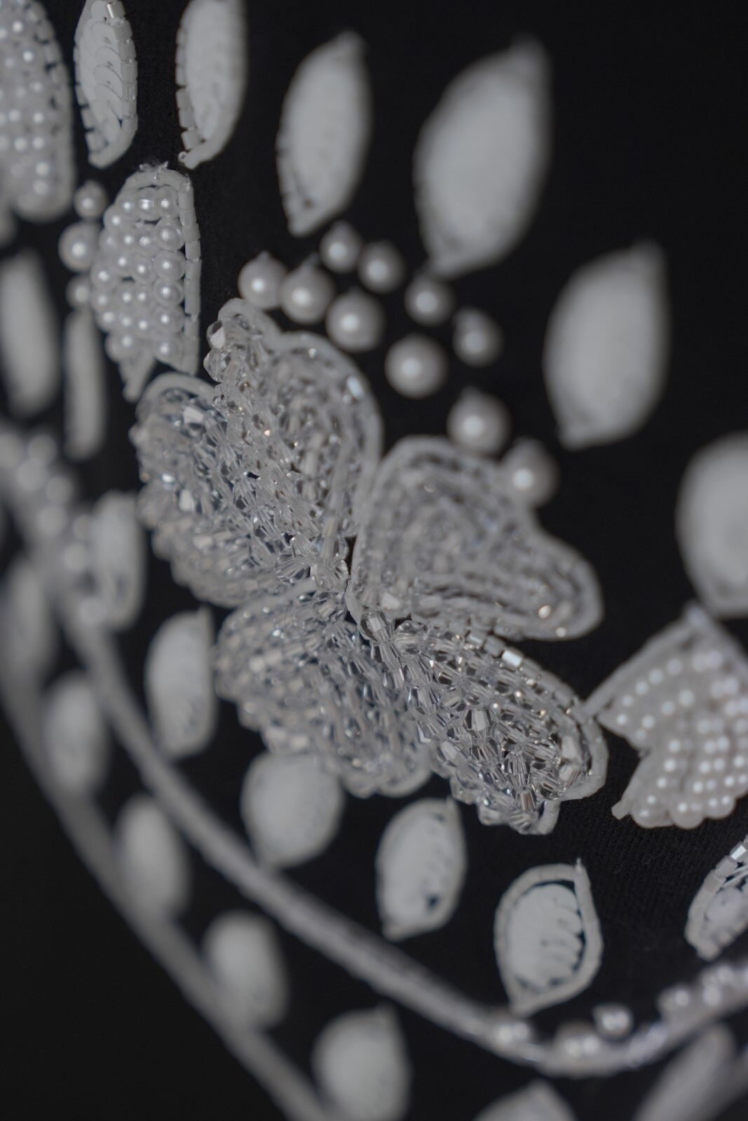 KHC0304_02832 (Custom)